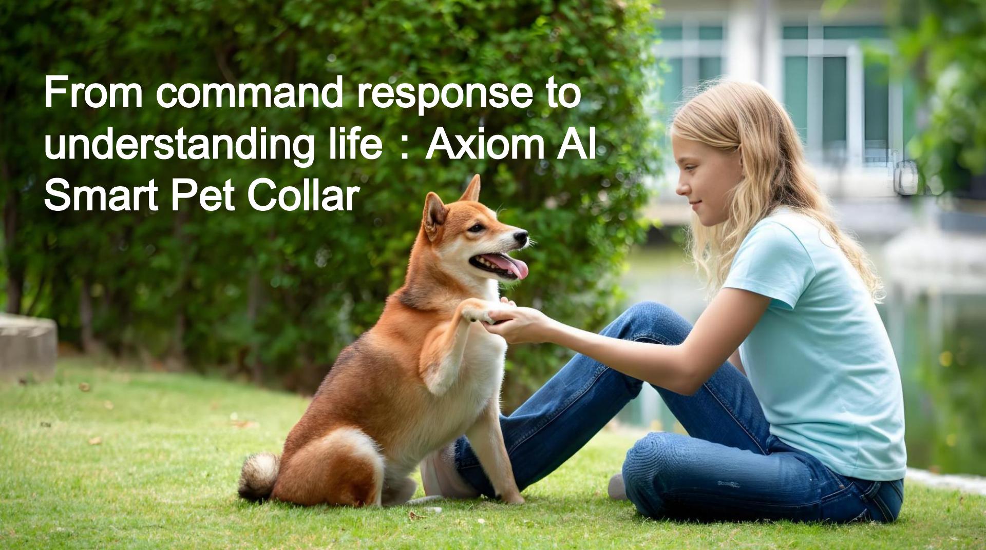 Intelligent Pet Systems