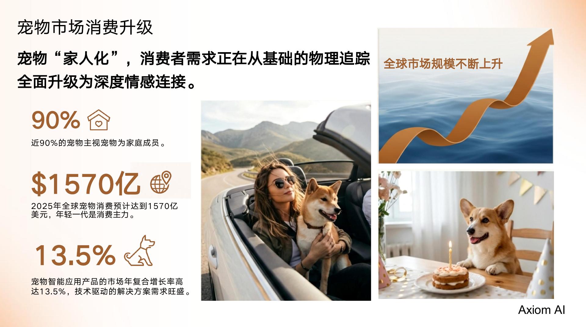 智能宠物系统 - 第 2 页