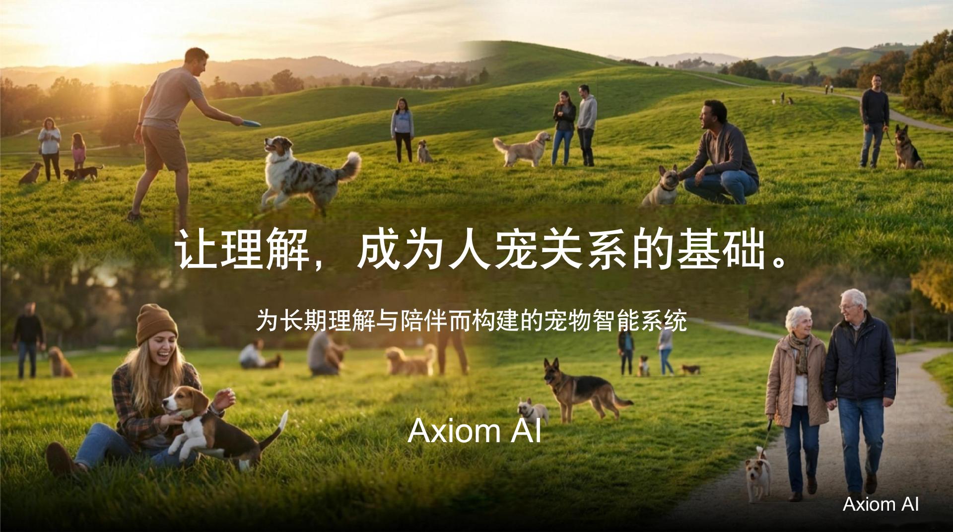 智能宠物系统 - 第 12 页